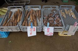 小松農園